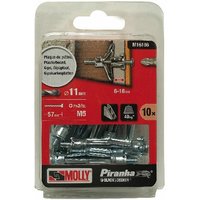 10 Metall-Dübel mit Spreizfunktion Ø 5 x 50 mm mit M5 Schraube MOLLY - M16106-XJ von MOLLY