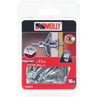 16 Metallspreizanker Ø 5 x 36 mm mit M5 Schrauben MOLLY - M16010-XJ von MOLLY