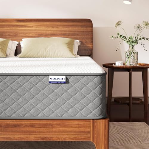 MOLPHIT 20,3 cm große Einzelbett-Matratze, mittelfest, Öko-Tex-zertifizierte Hybrid-Einzelbett-Matratzen, 7-Zonen-Memoryschaum-Matratze mit Taschenfederkern zur Körperunterstützung und Druckentlastung MOLPHIT 20,3 cm große Einzelbett-Matratze, mittelfest, Öko-Tex-zertifizierte Hybrid-Einzelbett-Matratzen, 7-Zonen-Memoryschaum-Matratze mit Taschenfederkern zur Körperunterstützung und Druckentlastung von MOLPHIT