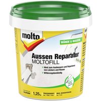 Fill Fertigspachtel Außen 1,25 Kg - Molto von MOLTO
