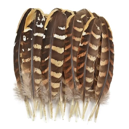 Natural Eagle Feathers for Jewelry Making Creation Crafts Dream Catcher Vases Handicraft Accessories Feather Plumes Decoration von MOLUO