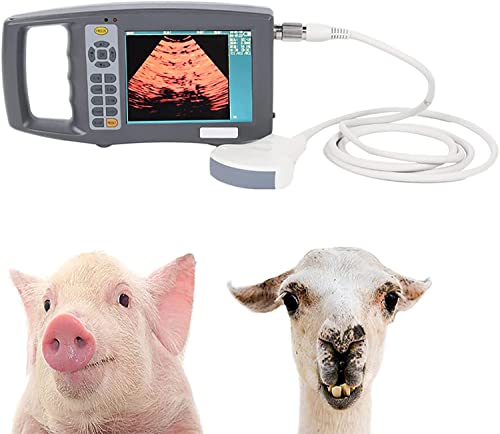 MOLVUS Tragbarer Ultraschallscanner für Veterinärmedizin, Schwangerschaft, digitales Handheld-Ultraschallgerät für den Tierarzt mit konvexer 3,5-MHz-Sonde von MOLVUS