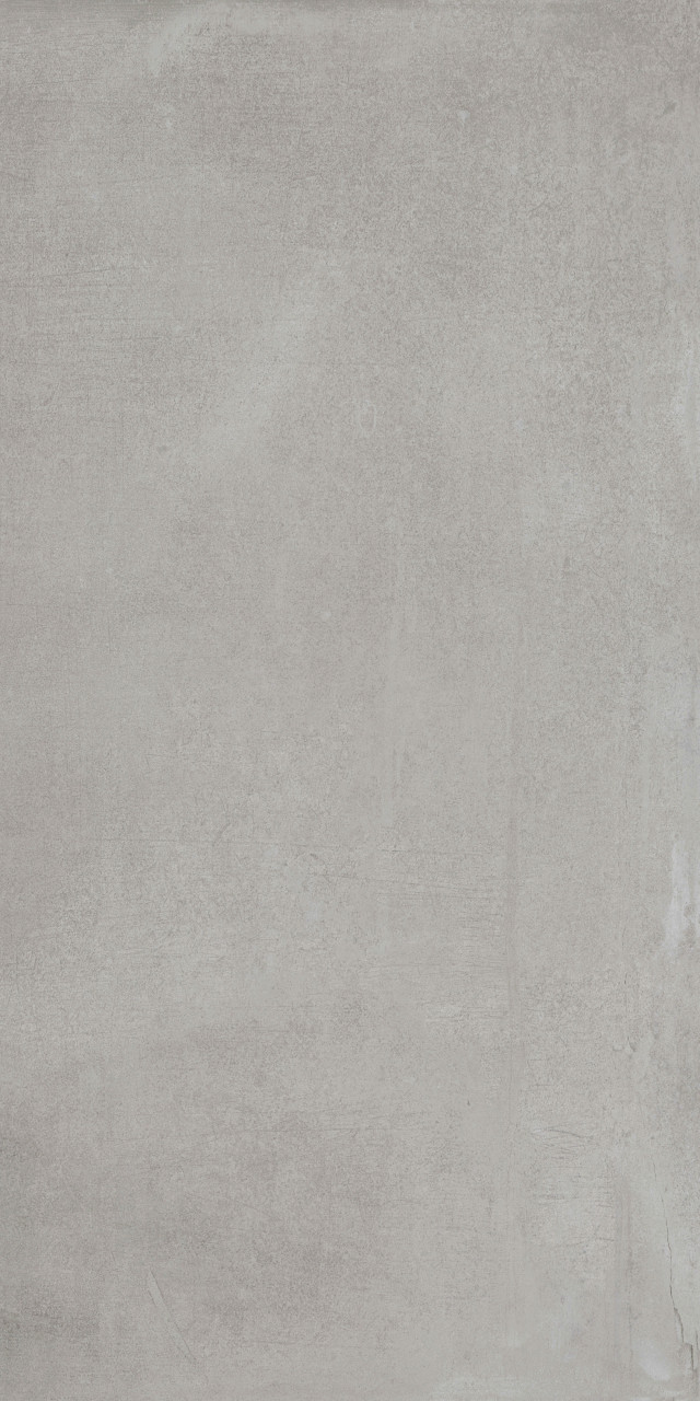 Wand- und Bodenfliese Feinsteinzeug Infinity 60 x 120 cm grau von MOMASTELA