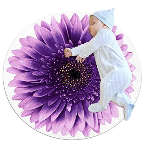 MOMOLOA Lila Gänseblümchen-Blume Sofa Teppiche Bodenmatte Runder Teppich für Kücheneingang 80x80cm von MOMOLOA