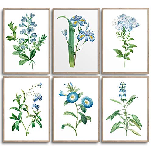 MONOKO® Wohnzimmer Poster Set - Schlafzimmer Bilder Set Premium - Stilvolle Wandbilder - 6er Set ohne Rahmen (Blumen, Blau, Vintage, 6x A4 (21 x 29,7cm)) von MONOKO