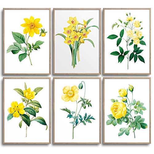 MONOKO® Wohnzimmer Poster Set - Schlafzimmer Bilder Set Premium - Stilvolle Wandbilder - 6er Set ohne Rahmen (Blumen, Gelb, Narzisse, 6x A4 (21 x 29,7cm)) von MONOKO