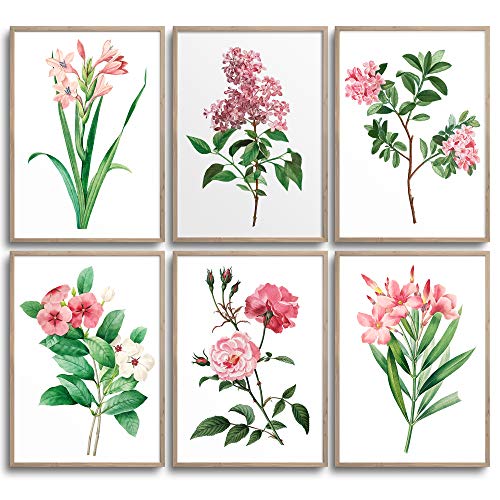 MONOKO® Wohnzimmer Poster Set - Schlafzimmer Bilder Set Premium - Stilvolle Wandbilder - 6er Set ohne Rahmen (Botanik, Rosa, Pink, 6x A4 (21 x 29,7cm)) von MONOKO