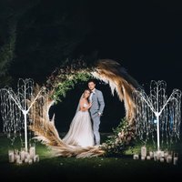 Monster Shop - Hochzeit Ballonbogen 200cm Moongate Gold 2m & 2 Trauerweiden Weiß warmweiße LEDs Weidebaum Weide Hochzeit Hintergrund Dekor Blumen von MONSTER SHOP