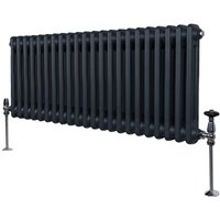 Traditioneller 2-Spalten-Heizkörper Zentralheizung Anthrazitgrau 300 x 1012mm von MONSTER-SHOP