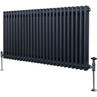 Monster-shop - Traditioneller 2-Spalten-Heizkörper Zentralheizung Anthrazitgrau 600 x 1192mm von MONSTER-SHOP