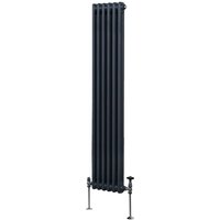 Traditioneller 2-Spalten-Heizkörper Zentralheizung Anthrazitgrau 1800 x 292mm von MONSTER-SHOP