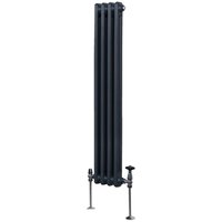 Monster-shop - Traditioneller 2-Spalten-Heizkörper Zentralheizung Anthrazitgrau 1500 x 202mm von MONSTER-SHOP