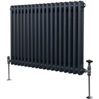 Monster-shop - Traditioneller 2-Spalten-Heizkörper Zentralheizung Anthrazitgrau 600 x 832mm von MONSTER-SHOP