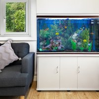 Monster Shop - 300 Liter Heimaquarium Aquarium mit Unterschrank Aquariumkobination mit LED-Licht in Weiß 70cm h x 120cm b x 39cm t - Weiß von MONSTER SHOP