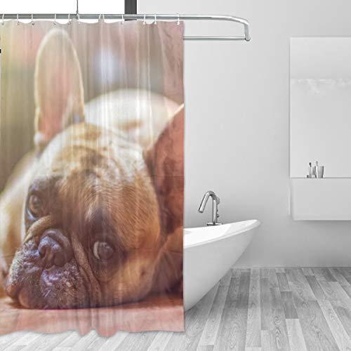 MONTOJ Französische Bulldogge Home Decor Duschvorhang Badvorhang Stoff Badezimmer Dekor Set mit Haken 177,8 cm langlebig und super wasserdicht 1 Panel 152,4 x 182,9 cm von MONTOJ