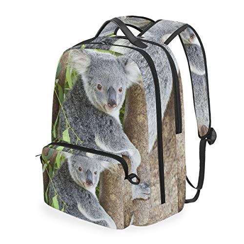 MONTOJ Koala Bär auf Baum Campus Rucksack mit abnehmbarer Kreuztasche von MONTOJ