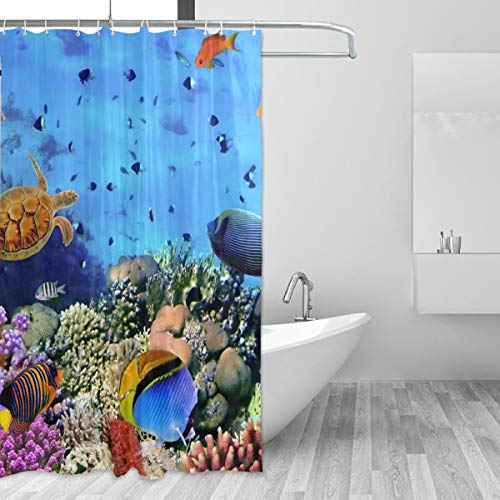 MONTOJ Unterwasser-Deko-Set mit Haken, 177,8 cm, strapazierfähig und superwasserdicht, 1 Panel, 152,4 x 182,9 cm von MONTOJ