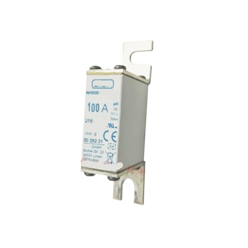 Sicherung 2028234 2029221 2029220 100A 200A 250A 315A(100A) von MOOEDJKL