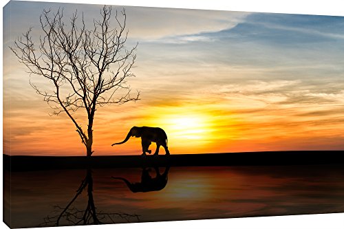 MOOL "Elefanten über Sunset Leinwand Wand Kunstdruck, gelb, groß, 32 x 22 MOOL "Elefanten über Sunset Leinwand Wand Kunstdruck, gelb, groß, 32 x 22 von MOOL