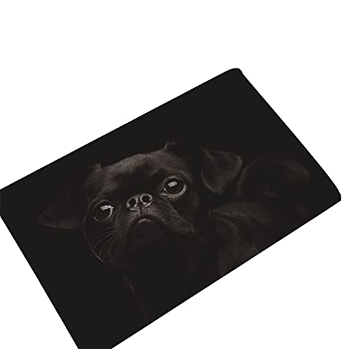 MOONDAME Fußmatte mit Hundemuster, 40 x 60 cm, für den Außenbereich, Küche, Wohnzimmer, Bodenmatte von MOONDAME