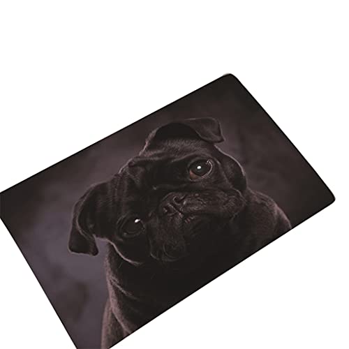 MOONDAME Fußmatte mit Hundemuster, 40 x 60 cm, für den Außenbereich, Küche, Wohnzimmer, Bodenmatte von MOONDAME