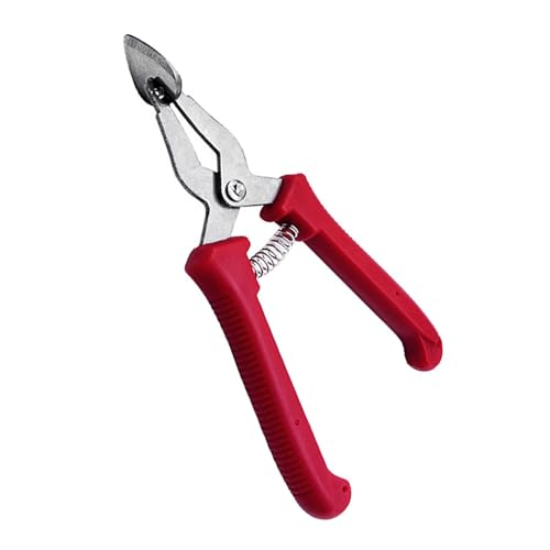 Wassermelone / Durian Clip Öffner Clip Edelstahl Ergonomischer Griff Zange Küche Obst Trennwerkzeug für Zuhause Wassermelone / Durian Clip Öffner Clip Edelstahl Ergonomischer Griff Zange Küche Obst Trennwerkzeug für Zuhause von MOONDAME