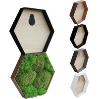 Hexagon Rahmen Für Moosbilder - Sechseck Diy Moosbild Unterschiedliche Farben Zum Befüllen von MOOSLO