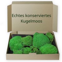 Kugelmoos Konserviert - Moos Zum Basteln Erstelle Dein Eigenes Moosbild von MOOSLO