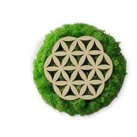 Moosbild Mit Spiegelpanel - Rückwand Aus Holz in Unterschiedlichen Größen Rund Blume Des Lebens von MOOSLO
