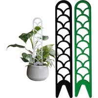 Rankhilfe Für Kletterpflanzen Aus Acrylglas - Kletterhilfe Monstera Efeutute Philodendron von MOOSLO