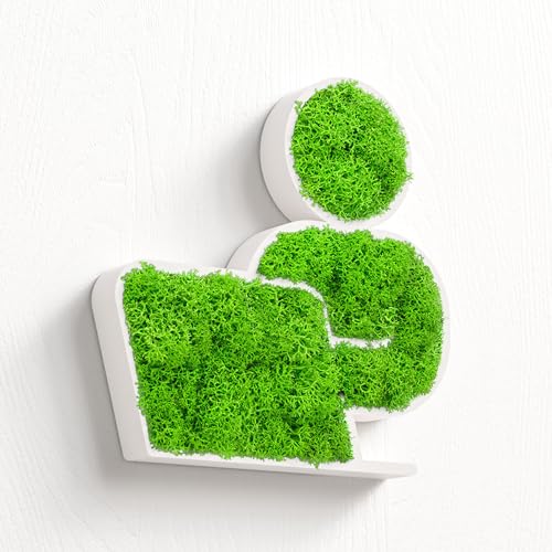 MOOSWERK Natürliches Moos Türschild Selbstklebend Homeoffice Schild | Moosbild Deko für Büro Weiß | Nachhaltige Wanddeko für Innen MOOSWERK Natürliches Moos Türschild Selbstklebend Homeoffice Schild | Moosbild Deko für Büro Weiß | Nachhaltige Wanddeko für Innen von MOOSWERK