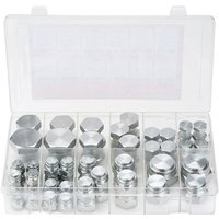64-teiliges BSPP-Hydraulikarmaturen-Set, Hydraulikkappe und -stopfen aus verzinktem Stahl mit Präzisionsgewinde, Armaturenbrettgrößen 04–16 - Mophorn von MOPHORN