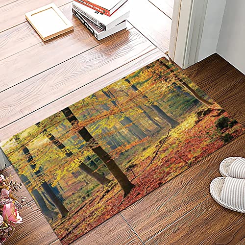 Badematte 50x80cm, Rutschfeste Badteppich, Wald, bunter herbstlicher Wald mit warmem dunstigem nebeligem Natur-Bild-Druck,Mikrofaser Badvorleger mit, Wasserabsorbierende Weiche teppiche für Badezimmer von MOPPRO