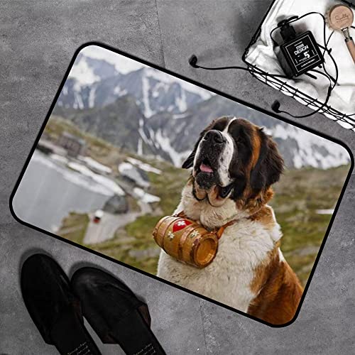 Memory Foam Badezimmer- 40 x 60 cm,Tierhund Alpenrettungshund Hals mit kleinem Fass Schöner Bernhardiner,Badteppich Saugfähige Rutschfester Badvorleger Waschbar Badematte von MOPPRO