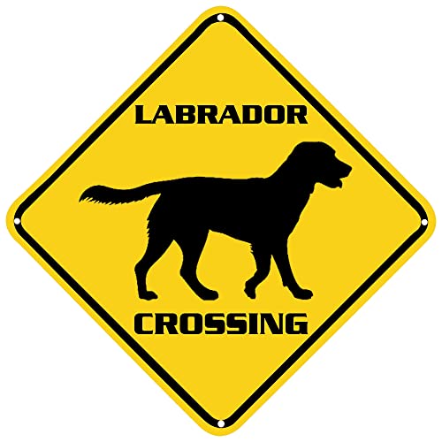 Labrador Crossing Warnschild Labrador Schild Tier Wanddekoration für Zuhause Bauernhaus Hof Straße Qualität Metallschild 30,5 x 30,5 cm von MOQUN