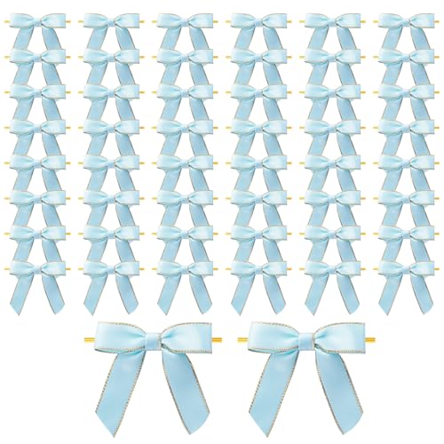 MORSUNBELA Blau Schleifen Deko Hochzeit Geschenkschleifen Schleife Kleine Geschenk für Geburtstag Kommunion Weihnachten Gastgeschenke,50 Stück,Hellblau MORSUNBELA Blau Schleifen Deko Hochzeit Geschenkschleifen Schleife Kleine Geschenk für Geburtstag Kommunion Weihnachten Gastgeschenke,50 Stück,Hellblau von MORSUNBELA