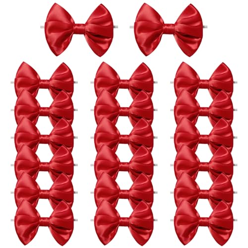 MORSUNBELA Geschenkschleifen, Schleifen Deko 20 Stück Kleine Schleifen, Satinschleifen für DIY Gastgeschenke Hochzeit Deko Party Geburtstag, Rot MORSUNBELA Geschenkschleifen, Schleifen Deko 20 Stück Kleine Schleifen, Satinschleifen für DIY Gastgeschenke Hochzeit Deko Party Geburtstag, Rot von MORSUNBELA
