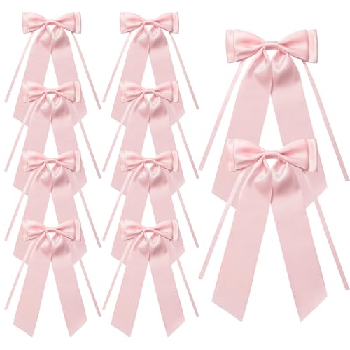 MORSUNBELA Geschenkschleifen Rosa Schleifen Deko, Haarschmuck mit Schleife 10 Stück Satinschleifen Autoschleifen, für Hochzeit Haarschmuck Feiertagsdekoration oder Geschenke MORSUNBELA Geschenkschleifen Rosa Schleifen Deko, Haarschmuck mit Schleife 10 Stück Satinschleifen Autoschleifen, für Hochzeit Haarschmuck Feiertagsdekoration oder Geschenke von MORSUNBELA