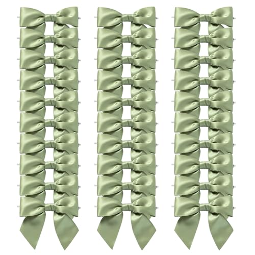 MORSUNBELA Schleifen Kleine Grün Deko Hochzeit Geschenkschleifen Schleife Geschenk für Kommunion Weihnachten Geburtstag Valentinstag 30 Stück MORSUNBELA Schleifen Kleine Grün Deko Hochzeit Geschenkschleifen Schleife Geschenk für Kommunion Weihnachten Geburtstag Valentinstag 30 Stück von MORSUNBELA