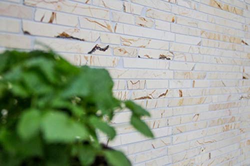 Handmuster Mosaik Fliese Marmor Naturstein Brick golden cream poliert Struktur MOS40B-2807_m von MOSANI