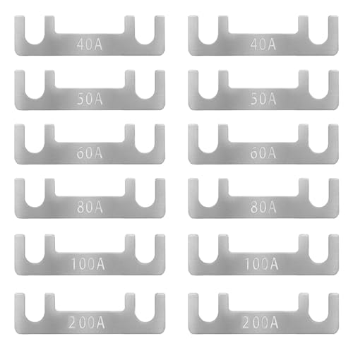 Strip Blattsicherung 12 Stück 40a,50a,60a,80a,100a,200a Auto Sicherung Blattsicherung Blattsicherung Sortiment Streifensicherungen Kfz Sicherung Für Batterieladegerät Für Pkw Wohnmobil von MOSTEDE