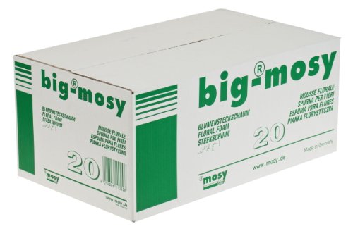 BIG MOSY Steckschaum, 20 Ziegel a 23x11x8cm, Nasssteckschaum, Blumen, Steckziegel, Steckschwamm von MOSY