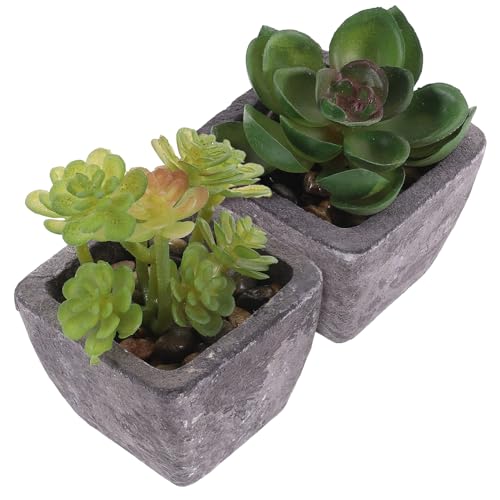 MOTHNUR 2 Stück Künstliche Sukkulenten Mini Bonsai Deko Pflanzen mit Realistischer Form und Frischer Farbe Kleine Kunstpflanzen für Fenster Tisch Regal Badezimmer und Wohnraum Dekoration von MOTHNUR