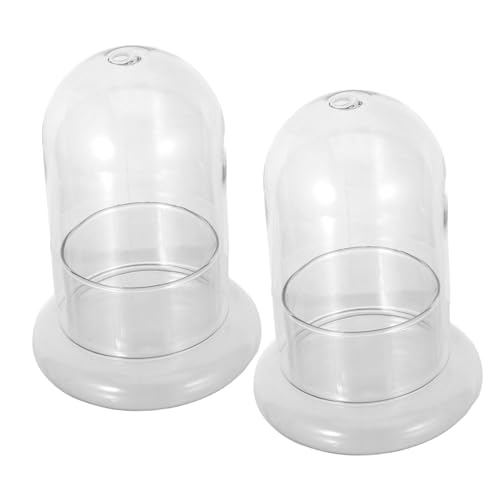 MOTHNUR 2 Stück Micro Landscape Terrarium Flasche Glas mit Ökologische Miniatur Dekoration für DIY Pflanzen Langlebig und Stilvoll für Wohnraum Tischdeko von MOTHNUR