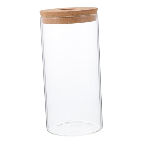 MOTHNUR Hochwertige Zylindrische Glasflasche aus Borosilikat für DIY Mikrolandschaften Glatte Oberfläche für Moos Pflanzen und Kreative Dekoration im Büro oder Zuhause von MOTHNUR