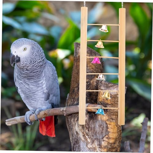 MOTHNUR Holzleiter für Wellensittiche und Papageien Kletterleiter mit Natürlicher Vogelspielzeug hängespielplatz mit Glocken für Käfige und Volieren Fördert Bewegung und Spielspaß MOTHNUR Holzleiter für Wellensittiche und Papageien Kletterleiter mit Natürlicher Vogelspielzeug hängespielplatz mit Glocken für Käfige und Volieren Fördert Bewegung und Spielspaß von MOTHNUR