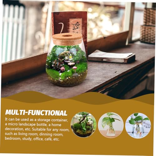 MOTHNUR Hydroponischer Glas moos terrariumbehälter Groß für DIY Mikrolandschaft Pflanzflasche Ökologische Wasserpflanzenflasche Langlebig von MOTHNUR