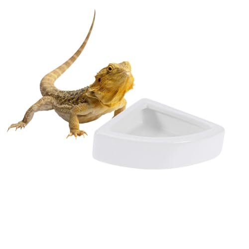 MOTHNUR Keramik Futterschale für Reptilien mit Rutschfestem Design Mittlere Weiße Schale Auslaufsicher und Kippsicher für Echsen Schildkröten und Kleine Terrarientiere von MOTHNUR