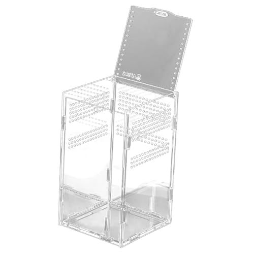 MOTHNUR Kleine Transparente Reptilien Aufbewahrungsbox aus Bruchsicherem Kunststoff Magnetisch Zusammenbaubar Vielseitig Geeignet für Eidechsen Spinnen Skorpione Frösche und Kleine MOTHNUR Kleine Transparente Reptilien Aufbewahrungsbox aus Bruchsicherem Kunststoff Magnetisch Zusammenbaubar Vielseitig Geeignet für Eidechsen Spinnen Skorpione Frösche und Kleine von MOTHNUR