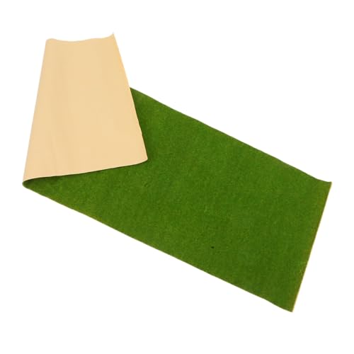 MOTHNUR Modellrasen Hochrealistischer Kunstrasen Teppich für DIY Bastelprojekte Architekturlandschaften und Miniaturmodelle Innen Außen Nutzung MOTHNUR Modellrasen Hochrealistischer Kunstrasen Teppich für DIY Bastelprojekte Architekturlandschaften und Miniaturmodelle Innen Außen Nutzung von MOTHNUR